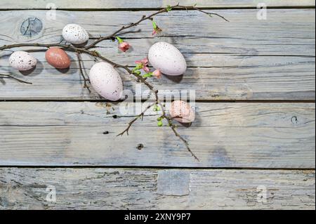 Uova di Pasqua di colore naturale e un ramo con pochi fiori su uno sfondo rustico in legno grigio, spazio copia, alto angelo vista dall'alto, fuoco selezionato Foto Stock