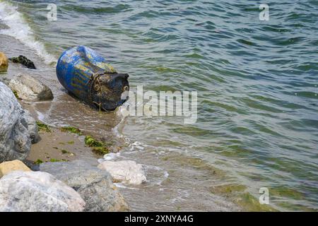 Botte di metallo alluvionale sulla spiaggia del Mar Mediterraneo in Grecia, strappato da un allevamento di molluschi in acque più profonde, spazzatura nell'oceano Foto Stock