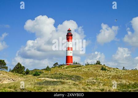 Faro di Amrum sulla grande duna, Wittduen, Amrum, Frisia settentrionale, Frisia settentrionale, Schleswig-Holstein, Germania Foto Stock