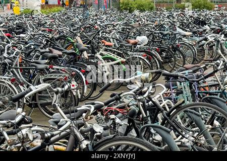 Eindhoven / Paesi Bassi - 30 giugno 2024: Centinaia di biciclette sono in fila presso il parcheggio della stazione ferroviaria il 30 giugno 2024 a Eindhoven, Paesi Bassi. Foto Stock