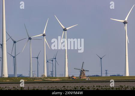 Parchi eolici Westereems e Growind, oltre 80 turbine eoliche in totale, presso il porto marittimo di Eemshaven, provincia di Groningen, a nord-ovest del Foto Stock