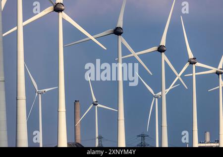 Parchi eolici Westereems e Growind, per un totale di oltre 80 turbine eoliche, presso il porto di Eemshaven, provincia di Groningen, a nord-ovest del Foto Stock