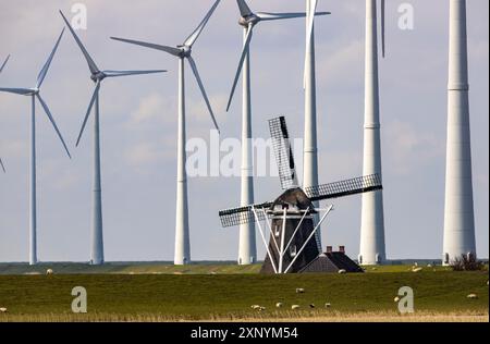 Parchi eolici Westereems e Growind, oltre 80 turbine eoliche in totale, presso il porto marittimo di Eemshaven, provincia di Groningen, a nord-ovest del Foto Stock