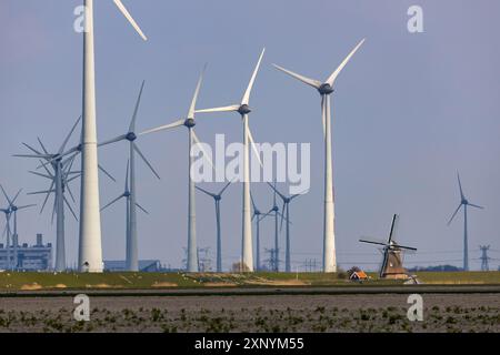 Parchi eolici Westereems e Growind, oltre 80 turbine eoliche in totale, presso il porto marittimo di Eemshaven, provincia di Groningen, a nord-ovest del Foto Stock