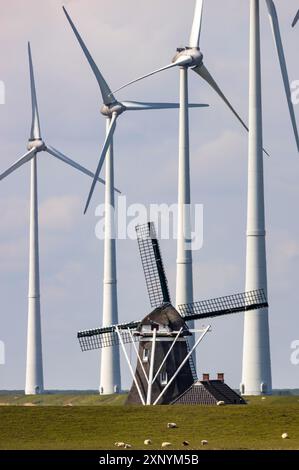 Parchi eolici Westereems e Growind, oltre 80 turbine eoliche in totale, presso il porto marittimo di Eemshaven, provincia di Groningen, a nord-ovest del Foto Stock