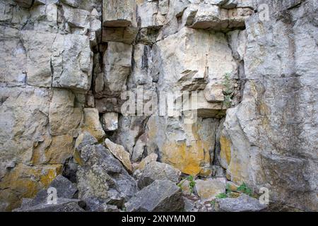 Sfondo scultoreo in pietra naturale presso la Rattlesnake Point Conservation area, Canada. Foto Stock