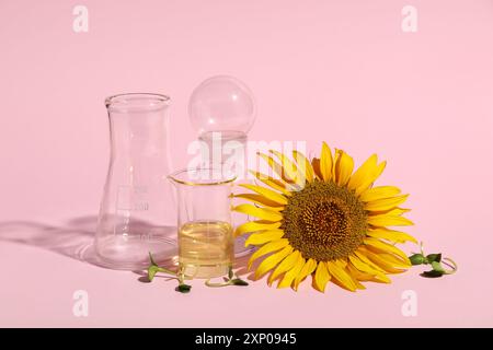 Vetreria professionale da laboratorio con girasole, germogli e olio su sfondo rosa Foto Stock