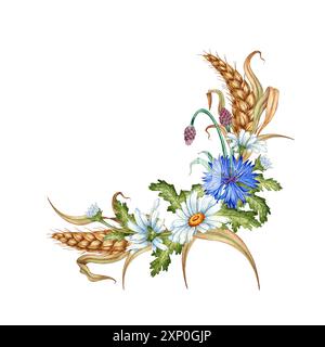 Fiori di mais blu, margherite, orecchie di ghirlanda d'angolo di grano illustrazione acquerello. Elemento bouquet di composizione botanica di fiori selvatici isolato dal retro Foto Stock