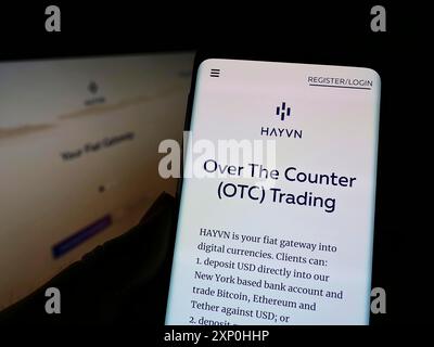 Stoccarda, Germania, 02-11-2022: Persona che possiede uno smartphone con pagina web della società di servizi finanziari HAYVN Global su schermo con monitor. Concentrati su Foto Stock