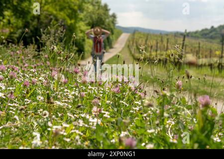 Prato con bei fiori durante l'estate, escursionista donna con cappello di paglia e zaino rosso sullo sfondo, Auerbach, Bensheim, Germania Foto Stock