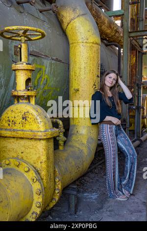 Model Landscape Park Duisburg Germania Foto Stock