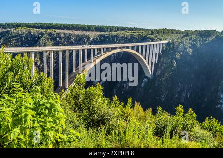 Bloukrans bunjee jumping bridge è un ponte di arco situato vicino la natura della Valle e Knysna in garden route nella Western Cape Africa Foto Stock