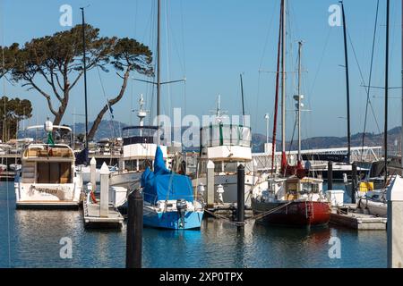 Marina con barche a vela di lusso a San Francisco, California Foto Stock