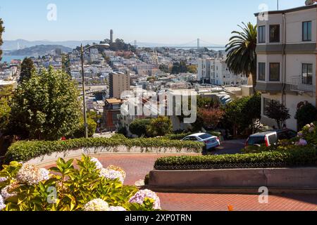 Lombard Street con le sue curve nel centro di San Francisco, California Foto Stock