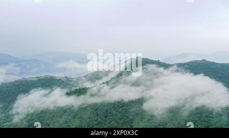 Pechino, Cina. 3 agosto 2024. Una foto aerea scattata il 3 agosto 2024 mostra lo scenario della sezione Mutianyu della grande Muraglia a Pechino, capitale della Cina. Crediti: Chen Yehua/Xinhua/Alamy Live News Foto Stock