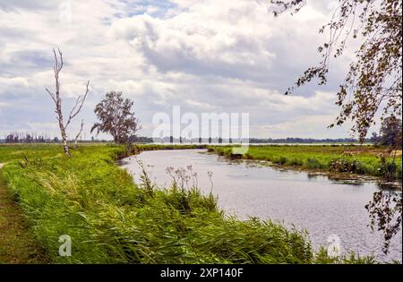 Corso d'acqua nel paesaggio paludoso e paludoso prima della laguna di Szczecin in una giornata nuvolosa Foto Stock