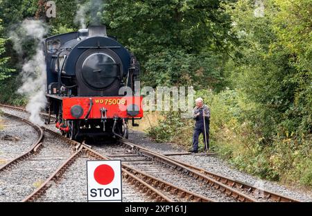 Motore con serbatoio a vapore "Swiftsure" WD classe WD75008 che lavora sulla ferrovia Kent e East Sussex Heritage che va da Tenterden a Bodium Foto Stock