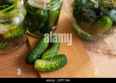 Preparazione per la fermentazione dei cetrioli mediante un processo di decapaggio denominato fermentazione dell'acido lattico. Tali cetrioli fermentati hanno una lunga durata di conservazione e lo sono Foto Stock