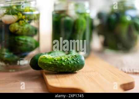 Preparazione per la fermentazione dei cetrioli mediante un processo di decapaggio denominato fermentazione dell'acido lattico. Tali cetrioli fermentati hanno una lunga durata di conservazione e lo sono Foto Stock