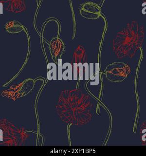 Illustrazione botanica vettoriale disegnata a mano fiori foglie. papavero rosso, steli cime di semi. Sfondo scuro isolato con pattern senza cuciture Illustrazione Vettoriale