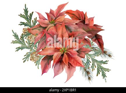 Fiori di Poinsettia, baubles con stella d'oro, coni di rami di abete ginepro. Illustrazione ad acquerello disegnata a mano, bouquet isolato su bianco. Natale, felice nuovo Foto Stock
