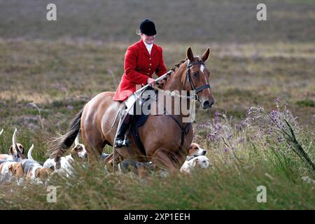 Lauder, Regno Unito. 3 agosto 2024. Lauder Common Riding, Lauder è uno dei Border Common Ridings originali, con riferimenti al festival che risale agli anni '1600, che è stato interrotto a metà degli anni '1800 prima di essere ripristinato nel 1911, prendendo il posto d'onore nel calendario di Lauderdale ogni anno. Ryan Murray Lauder Cornet e Standard Bearer 2024 Jake Mirley (Cornet 2023) uomo destro Elliot Balson (Cornet 2022) uomo sinistro ? ( Crediti: Rob Gray/Alamy Live News Foto Stock