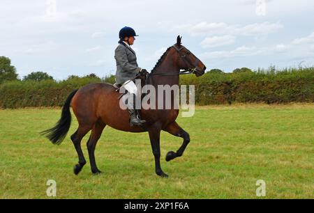 Donna che cavalca un pony sul campo Foto Stock