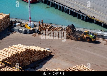 Tronchi grezzi di pino radiata in attesa di essere spediti verso le destinazioni di esportazione e nazionali dal porto di Napier, nell'isola settentrionale della nuova Zelanda Foto Stock