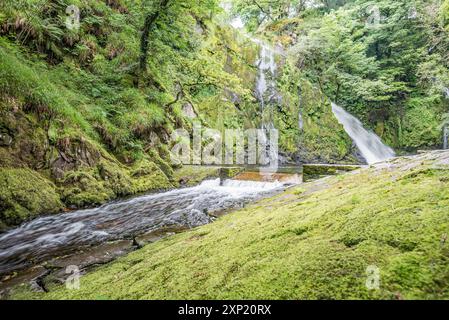 Un 'sentiero inferiore' conduce lungo un beck, con diverse piccole cascate e acqua bianca, terminando all'alta goccia della cascata Ceunant Mawr a Llanberis. Foto Stock