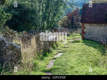 Un sentiero lungo la chiesa di St. Mary a Buriton, Hampshire, con erba lunga tra le lapidi. Foto Stock