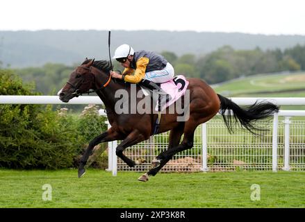 Witness Stand guidato da Kieran Shoemark vince il Whispering Angel handicap durante il quinto giorno del Qatar Goodwood Festival presso l'ippodromo Goodwood di Chichester. Data foto: Sabato 3 agosto 2024. Foto Stock