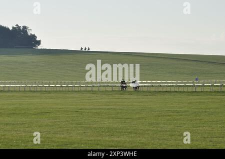 Galoppo di cavalli da corsa a Newmarket Suffolk, Inghilterra, Regno Unito Foto Stock