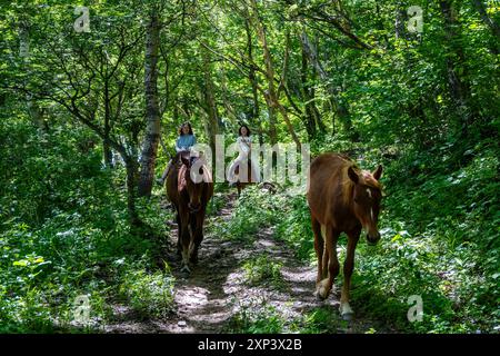 I turisti apprezzano l'equitazione sui sentieri della foresta a Lingshan 灵山. Pechino, Cina. Foto Stock