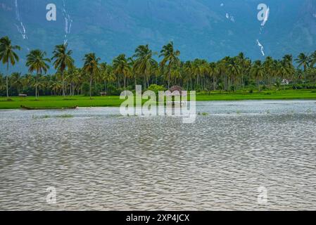 Affascinante strada del Villaggio di Kollengode con le montagne Nelliyampathy e le cascate di Seetharkundu - Turismo del Kerala Foto Stock