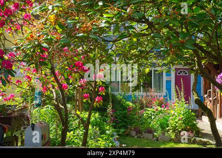 Un bellissimo giardino di cottage sul fronte riempie una piccola area con alberi fioriti e vivaci perenni. Foto Stock