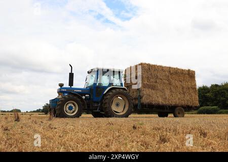 Stroud, Regno Unito, 6 agosto 2024. È ora di raccolta estiva per gli agricoltori del Gloucestershire, che utilizzano i loro trattori e rimorchi per radunarsi nelle balle. Foto Stock