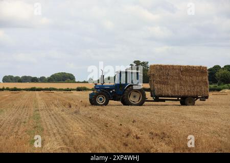 Stroud, Regno Unito, 6 agosto 2024. È ora di raccolta estiva per gli agricoltori del Gloucestershire, che utilizzano i loro trattori e rimorchi per radunarsi nelle balle. Foto Stock