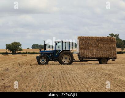 Stroud, Regno Unito, 6 agosto 2024. È ora di raccolta estiva per gli agricoltori del Gloucestershire, che utilizzano i loro trattori e rimorchi per radunarsi nelle balle. Foto Stock