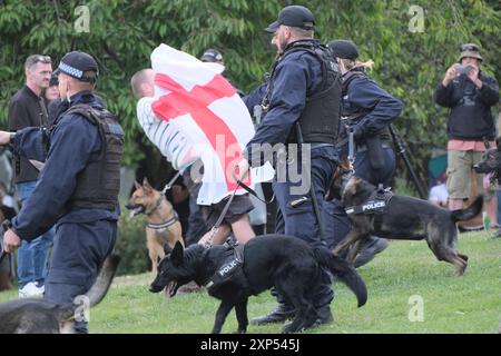 Bristol, Regno Unito. 3 agosto 2024. Ferma i manifestanti delle barche che gridano alla polizia. Obne cade all'indietro quando si trova di fronte a un cane della polizia. A Bristol è in corso una grande operazione di polizia, in quanto Stop the Boats e Refugees sono i benvenuti manifestanti che si incontrano nel centro di Bristol. Crediti: JMF News/Alamy Live News Foto Stock