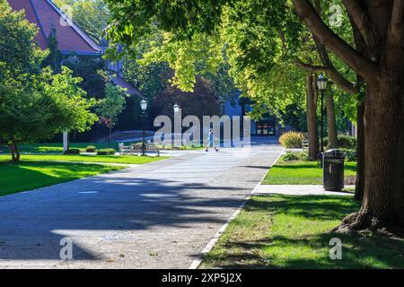 Impressioni dal campus dell'Università di Chicago nel Soutside di Chicago, Illinois, USA nel settembre 2014. Foto Stock