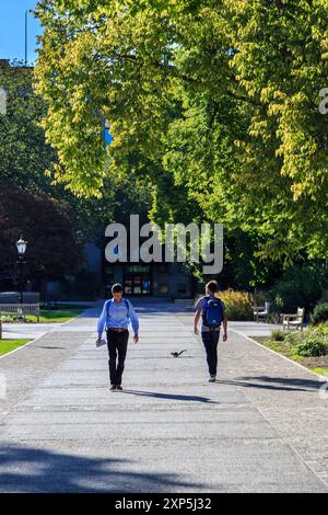 Impressioni dal campus dell'Università di Chicago nel Soutside di Chicago, Illinois, USA nel settembre 2014. Foto Stock