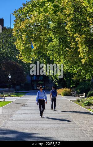 Impressioni dal campus dell'Università di Chicago nel Soutside di Chicago, Illinois, USA nel settembre 2014. Foto Stock