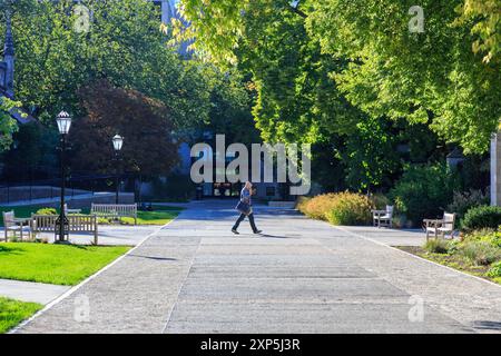 Impressioni dal campus dell'Università di Chicago nel Soutside di Chicago, Illinois, USA nel settembre 2014. Foto Stock