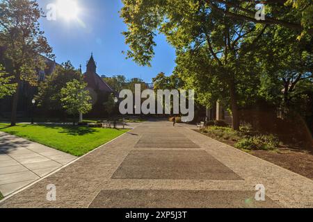 Impressioni dal campus dell'Università di Chicago nel Soutside di Chicago, Illinois, USA nel settembre 2014. Foto Stock