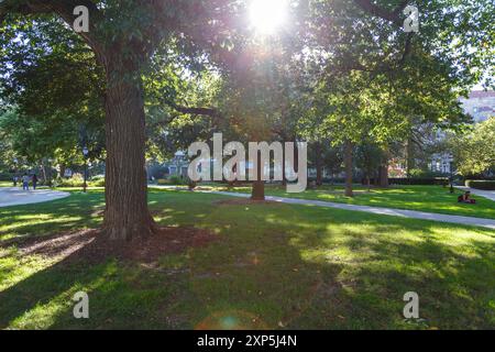 Impressioni dal campus dell'Università di Chicago nel Soutside di Chicago, Illinois, USA nel settembre 2014. Foto Stock