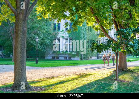 Impressioni dal campus dell'Università di Chicago nel Soutside di Chicago, Illinois, USA nel settembre 2014. Foto Stock