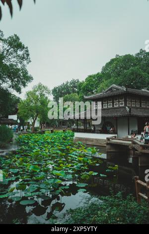 Suzhou, Cina - 11 giugno 2024: Foglie di loto punteggiano un laghetto tranquillo nel giardino dell'umile amministratore, Suzhou, Cina. Foto Stock