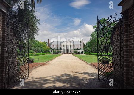 Boone's Hall Plantation situato a Mt Pleasant, vicino a Charleston, South Carolina USA Foto Stock