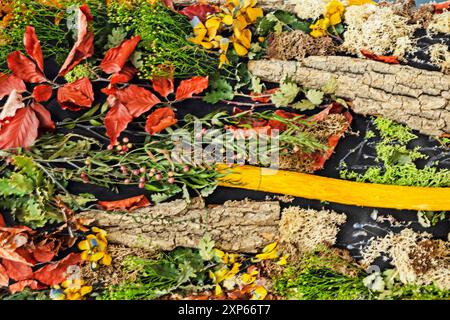 sfondo astratto di ikebana con fiori secchi, erba e radici. interni decorativi in casa e negli uffici Foto Stock