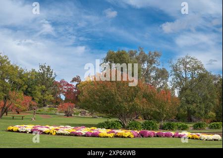 Spettacolare e colorata disposizione dei fiori e dei colori autunnali che iniziano a mostrare il design e la disposizione del Giardino Giapponese. Foto Stock